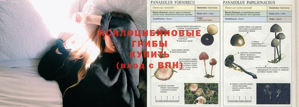 мескалин Бугульма