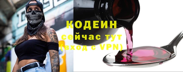 прущий лед Бородино
