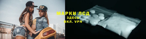 прущий лед Бородино