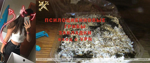 прущий лед Бородино