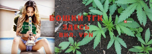 прущий лед Бородино