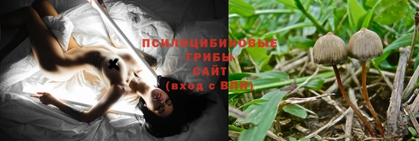 прущий лед Бородино